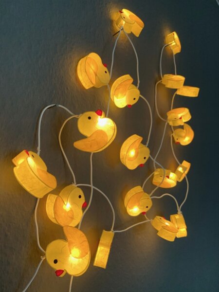 Ente Lichterk