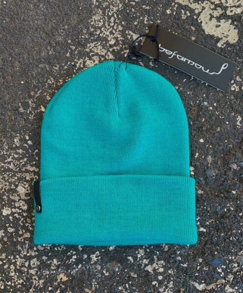 Beanie BeFamous