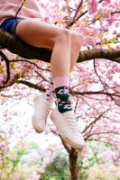 Socken Many Mornings Cherry Blossom 35-38